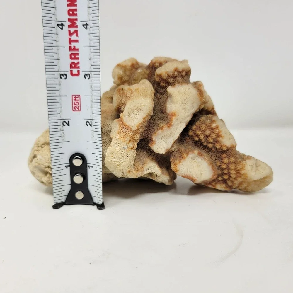N/A weighs lb